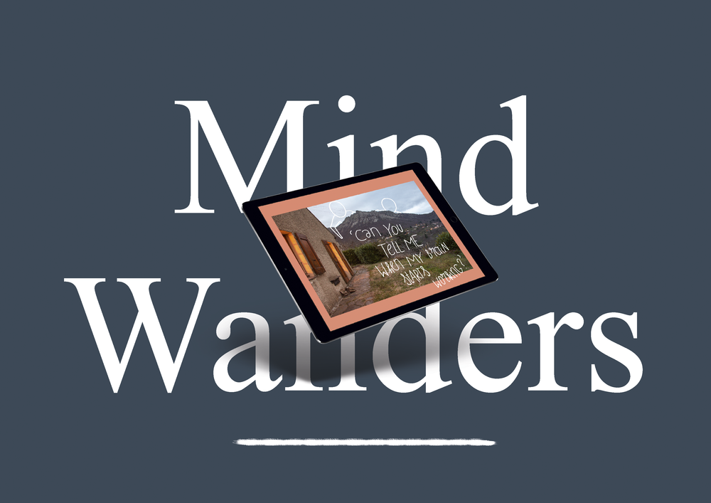 Mind Wanders